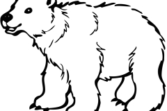 bear