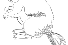 beaver