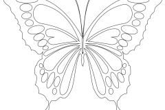 butterfly
