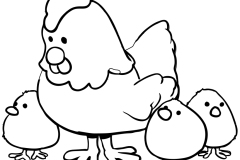 chickens