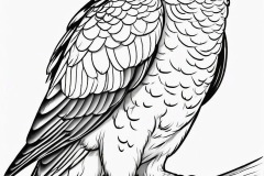 conure-8591078_1920