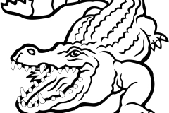 crocodile2