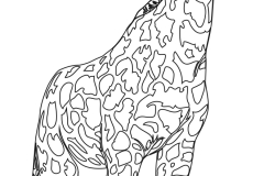 giraffe