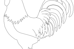 rooster
