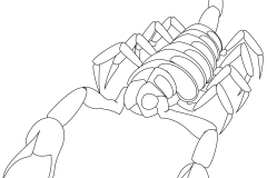 scorpion