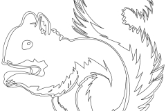 squirrel