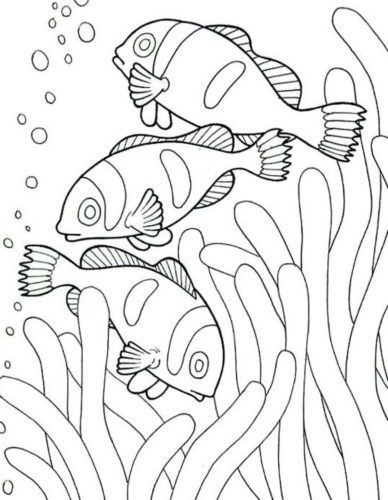Coloring Pages Critter Science