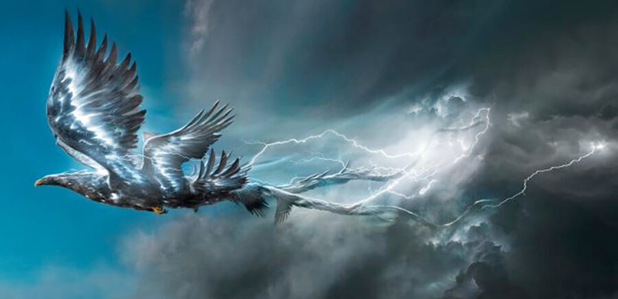 The Myth of the Thunderbird – Critter Science