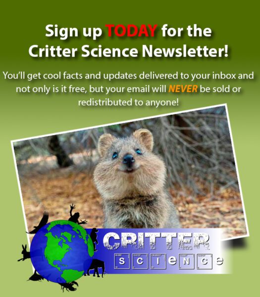 Critter Science Newsletter