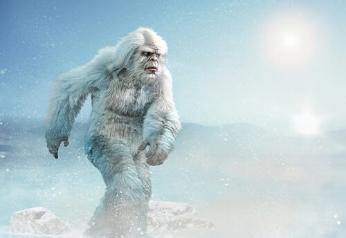 Yeti