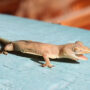 common house gecko