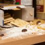 drugstore beetle