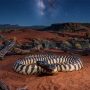 black-headed python