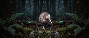 southern brown kiwi