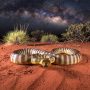 woma python