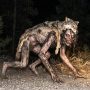 skin-walker
